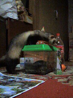 �� �M�l�����I�H